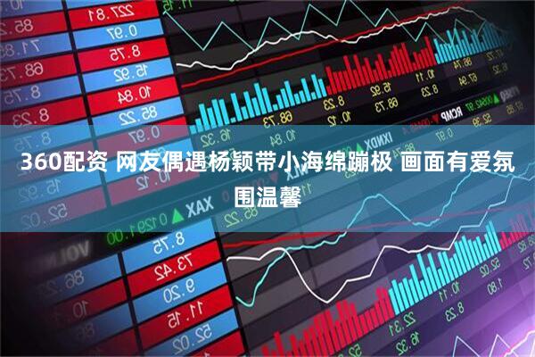 360配资 网友偶遇杨颖带小海绵蹦极 画面有爱氛围温馨